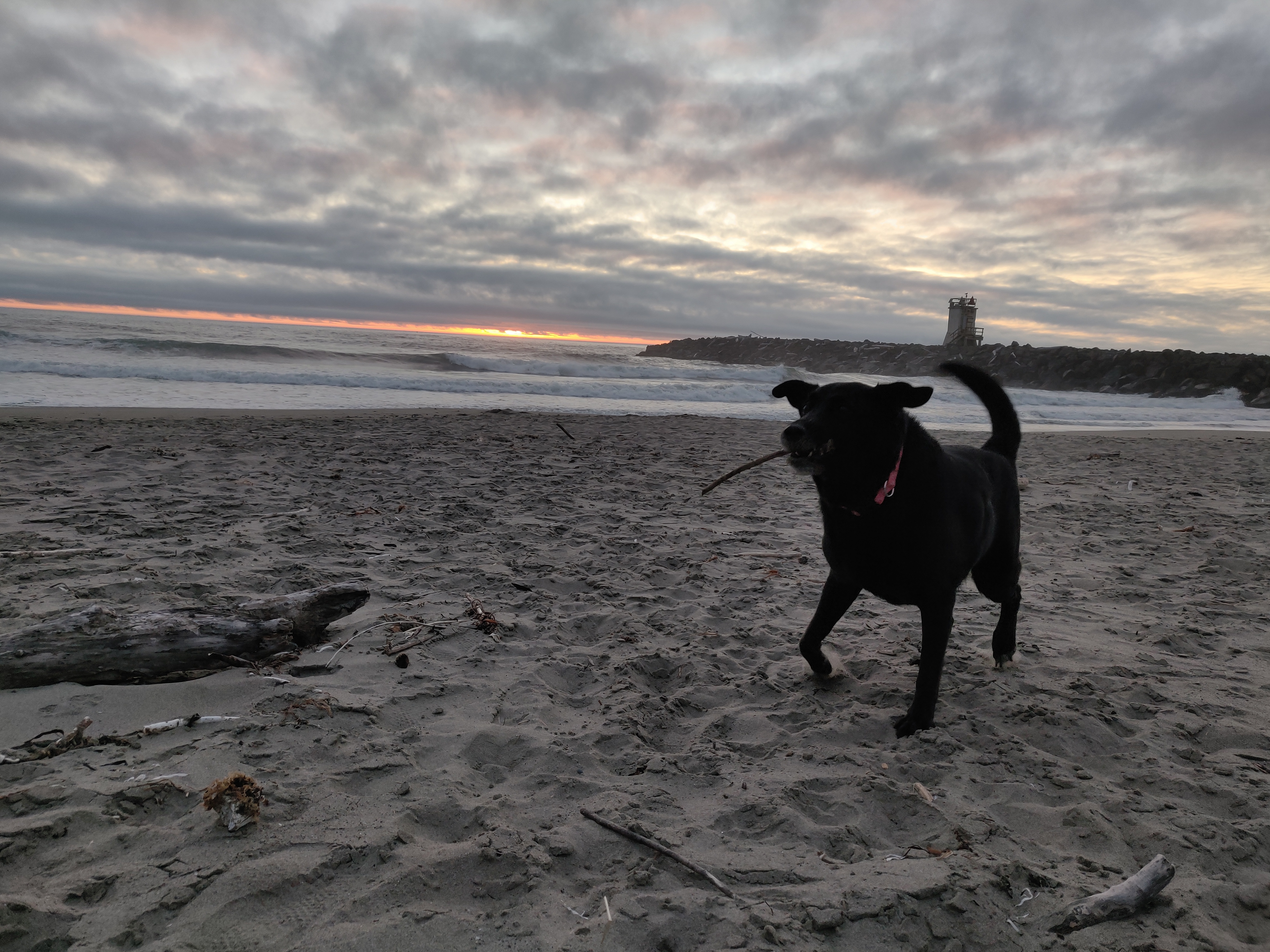 Chaka On the Beach